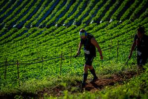 BIB: 
                            <button type="button" onclick="openModal(19160697)" class="btn btn-primary btn-sm float-right btn-popup" data-toggle="modal" data-target=".modal-high-quality">
                        <i class="fas fa-shopping-cart"></i> Add to Cart
                    </button>
                                            <button type="button" onclick="isThisMe(19160697, true)" class="btn btn-success btn-sm float-right btn-popup btn-isme hidden" data-toggle="tooltip" data-placement="bottom" title="นี่คือรูปของคุณใช่ไหม คลิกที่นี่เพื่อเอาเข้าอัลบั้ม">
                        <i class="fas fa-plus"></i> Add to album
                    </button>
                    <button type="button" onclick="isThisMe(19160697, false)" class="btn btn-warning btn-sm float-right btn-popup btn-isnotme hidden">
                        <i class="fas fa-ban"></i> Remove from album
                    </button>